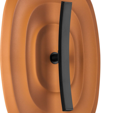 Настенный светильник Lightstar Erica 609641