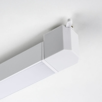 Трековый однофазный светильник Lightstar Lilla 202346