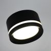 Подвесной светильник Reluce 79490-0.4-06 Black