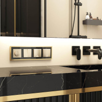 Рамка на 4 поста Baguette (черный/латунь) W0042852 Werkel