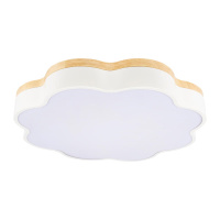 Потолочный светильник Loft IT Axel 10225/36 White