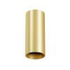 Потолочный светильник Maytoni Technical Focus C010CL-01MG-N
