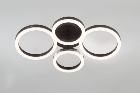 Потолочный светильник Rivoli Flora 6191-201