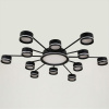 Потолочная люстра Reluce 20590-0.3-6+6+1 Black