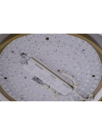 Потолочный светильник Zortes Adel ZRS.1200.01