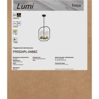 Подвесной светильник Freya Lumi FR5524PL-04BBZ