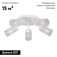 Потолочная люстра Vitaluce V3762-0/5PL