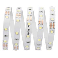 Светодиодная лента Apeyron 12В СТ 4,8Вт/м smd3528, 60д/м IP20 280Лм/м 5м 6500К 00-02