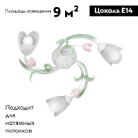 Потолочная люстра Vitaluce V1541/3PL