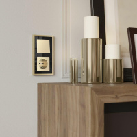 Рамка на 2 поста Baguette (черный/латунь) W0022852 Werkel