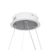 Подвесной светильник Freya Fancy FR6059PL-L47W