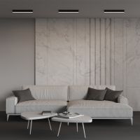 Линейный светильник Maytoni Technical LL311026