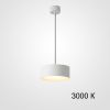 Подвесной светильник ImperiumLoft Siggen 212932-23