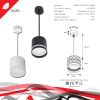 Подвесной светильник Reluce 53002-0.9-001LD GX53 BK