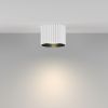 Потолочный светильник Maytoni Technical Calipso C106CL-GX53-W