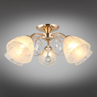 Потолочная люстра Omnilux Castellaro OML-29007-05