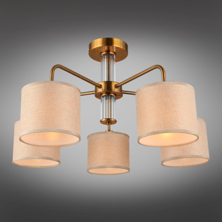 Люстра на штанге Omnilux Barumini OML-56907-05