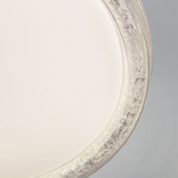 Светодиодные люстры и светильники Reluce 44516-0.5-500 WT