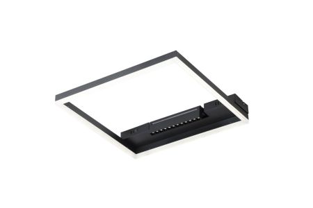 Потолочный светильник Freya Frame FR6084CL-L82B
