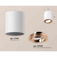 Комплект накладного светильника Ambrella light Techno Spot XS7421004 SWH/PPG белый песок/золото розовое полированное (C7421, N7005)