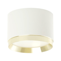 Потолочный светильник Feron HL459 Barrel DUET 52022