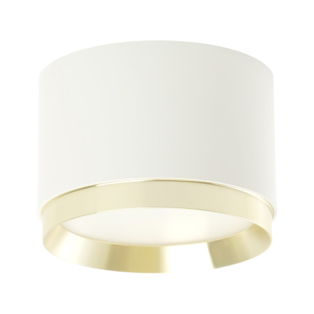 Потолочный светильник Feron HL459 Barrel DUET 52022