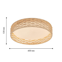 Потолочный светильник F-Promo Conrad 4749-4C