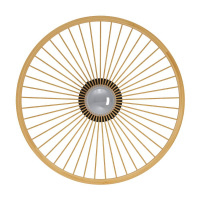 Настенно-потолочный светильник Eglo Leominster 43883