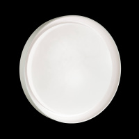 Накладной светильник Sonex 3030/EL