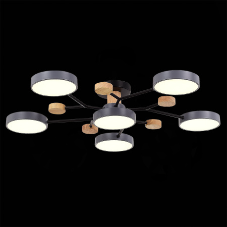 Люстра на штанге Evoluce Faema SLE6006-702-06