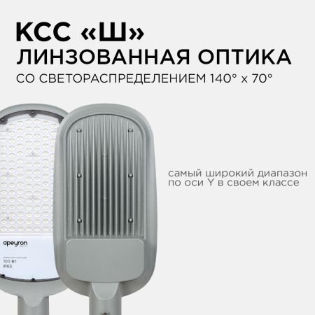 Уличный консольный светильник Apeyron 29-04