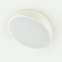 Потолочный светильник Escada 20025SMA/01LED WH