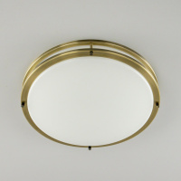 Настенно-потолочный светильник Citilux Бостон CL709503N