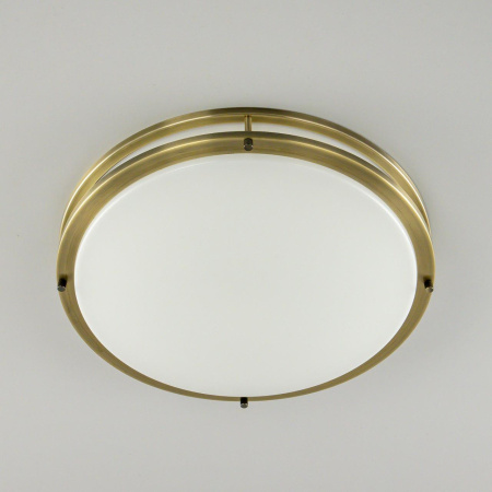 Настенно-потолочный светильник Citilux Бостон CL709503N