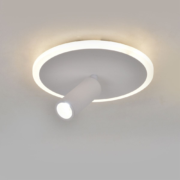 Настенно-потолочный светильник Escada 20046SMA/01LED WH