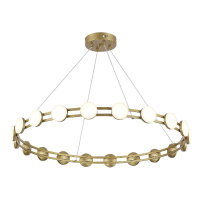 Подвесная люстра ST Luce Monro SL6610.203.20