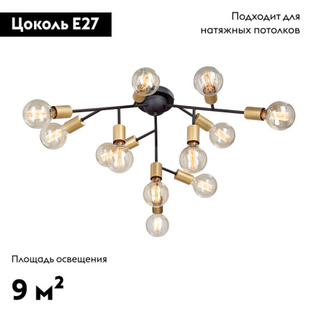 Потолочная люстра Vitaluce V4959-1/12PL