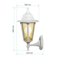 Уличный настенный светильник Apeyron Леда 11-99БЕЛ