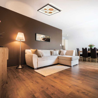 Потолочный светодиодный светильник Feron AL8400 41144