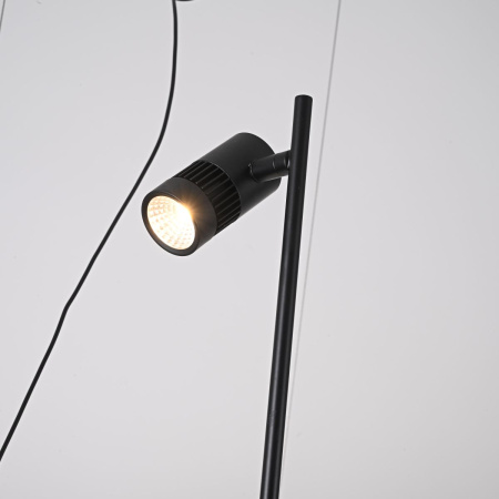 Подвесная люстра ImperiumLoft Palma 248666-01