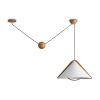 Подвесной светильник Freya Umbra FR5554CL-01T