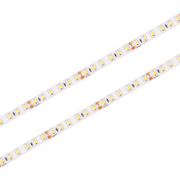 Светодиодная лента Loft IT Strip 24В 9,6Вт/м 3000K 5м IP65 10363/12065 WW