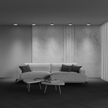 Потолочный светильник Maytoni Technical Points C066CL-12W3-6K-B