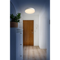 Настенно-потолочный светильник Sonex Basica Optima 7779/ELN