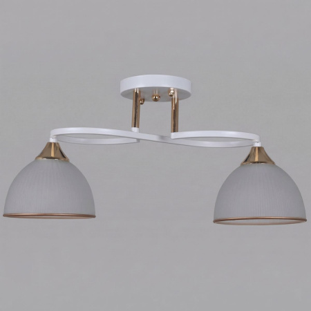 Потолочный светильник Reluce 68560-0.3-02 WH+FG