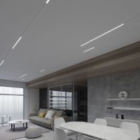 Трековый магнитный светильник Elektrostandard Slim magnetic 85000/01 a059182