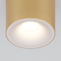 Накладной светильник Maytoni Spark C094-GU10-MG