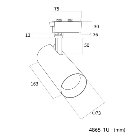Трековый однофазный светильник Favourite Practica 4865-1U