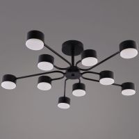 Люстра на штанге Reluce 03708-0.3-10 BK GX53