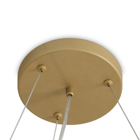 Подвесная люстра Freya Bless FR5567PL-06G